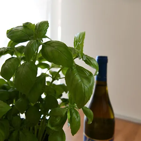 Casa Di Luca アパート *